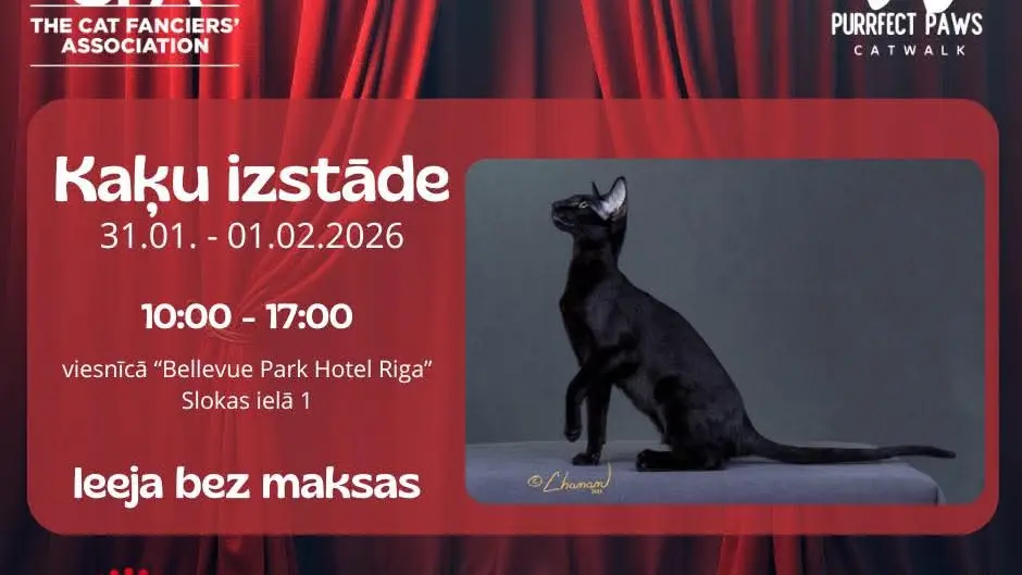 ZooFarik pirmajā CFA kaķu izstādē Latvijā