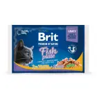 Brit Premium Cat Pouch Fish Plate Chunks 400 g (4x100 g) — Foto 1