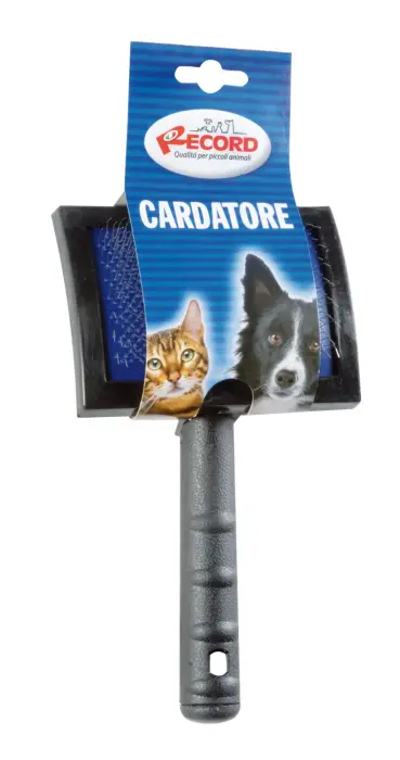Economical carder In plastics, big 20x11cm