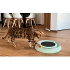 Nagu asināmai HappyCat  cm. 41x38x5 h — Foto 8