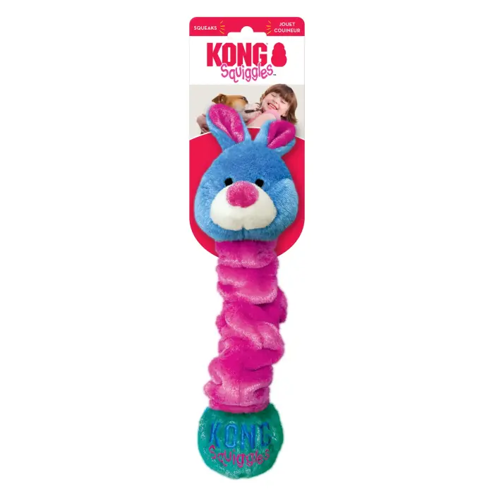 KONG Squiggles Medium Assorted - dog toy