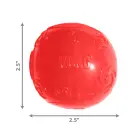 KONG Squeezz Ball Medium - dog toy, different colors — Foto 3