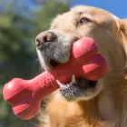 KONG Goodie Bone Small - rotaļlieta suņiem — Foto 3