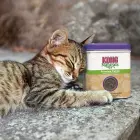 KONG Naturals Catnip 56,7 g - сушеная кошачья мята для наполнения игрушек для кошек — Фото 3