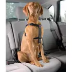 Auto drošības siksnas D&D Dog-Secure XS 20-50 cm — Foto 2