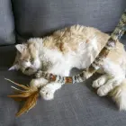 KONG Cat Teaser Swizzle Bird - cat toy — Фото 4