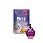 Brit Premium Cat Delicate Fillets in Jelly with Chicken 85 g mitrā barība kaķiem — Foto 1