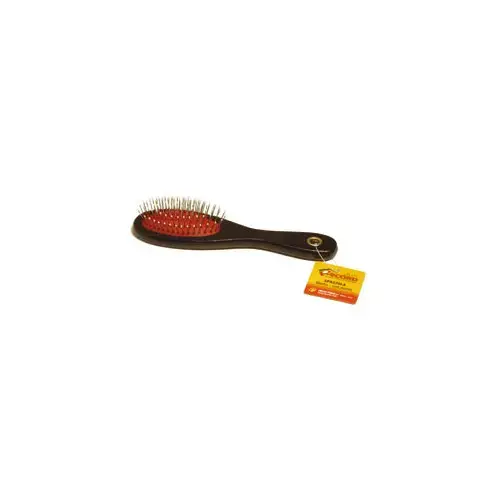 RECORD BRUSH WITH POINTED TEETH M