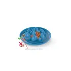 Pet bowl Honey Slow Food cm. 32x32x6 h with anti-slide, different colors — Foto 2