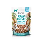 Brit Dog Raw Treat Skin & Coat Freeze-Dried Fish & Chicken 40 g — Foto 1