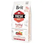Brit Fresh Beef with Pumpkin Puppy Large 2,5 kg barība kucēniem — Foto 1