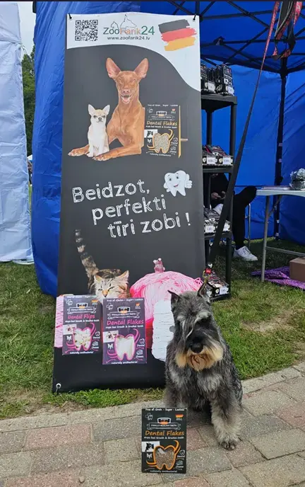 ZooFarik Ventspils suņu izstādē 2026 — 1