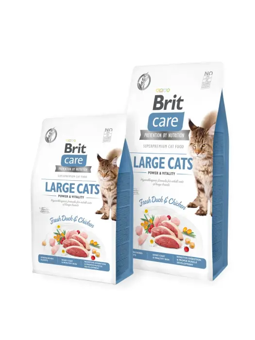 Brit Care Cat GF Large cats Power & Vitality (Fresh Duck&Chicken) 7 kg barība kaķiem