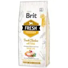 Brit Fresh Chicken with Potato Adult 12 kg barība suņiem — Foto 1