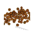 Monge Dog All Breeds Adult Monoprotein Pork with Rice and Potatoes 2,5 kg — Foto 2