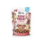 Brit Dog Raw Treat Freeze-Dried Urinary Turkey 40 g — Foto 1