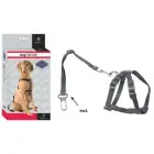 Auto drošības siksnas D&D Dog-Secure XS 20-50 cm — Foto 1