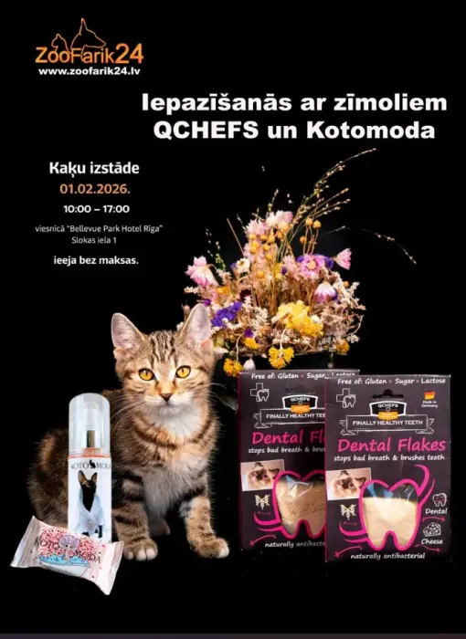 ZooFarik pirmajā CFA kaķu izstādē Latvijā — 1