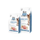 Brit Care Cat GF Large cats Power&Vitality (Fresh Duck&Chicken) 2 kg — Foto 1
