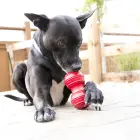 KONG Dental Rubber Chew Large - rotaļlieta suņiem — Foto 3