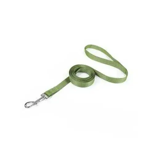 Dog leash 1,5 x150 cm green