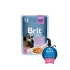 Brit Premium Cat Delicate Fillets in Gravy with Salmon for Sterilised 85 g konservi kaķiem — Foto 1