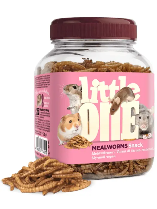 Little One Mealworms 70 g – ēdamtārpi visēdājiem grauzējiem