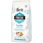Brit Fresh Fish with Pumpkin Adult Large 12 kg barība suņiem — Foto 1