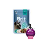 Brit Premium Cat Delicate Fillets in Gravy with Beef 85 g konservi kaķiem — Foto 1