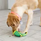 KONG Ballistic Hide 'n Treat Large Assorted - dog toy — Foto 4