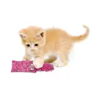 KONG Kickeroo Kitten Assorted - cat toy — Фото 3