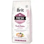 Brit Fresh Chicken with Potato Puppy 12 kg barība kucēniem — Foto 1