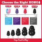 KONG Extreme XXL - rotaļlieta suņiem — Foto 7