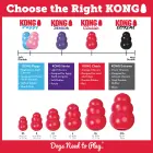 KONG Classic XS - rotaļlieta suņiem — Foto 7