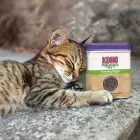 KONG Cat Naturals Catnip 28,3 g - dried catnip for filling in toys for cats — Фото 3