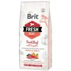 Brit Fresh Beef with Pumpkin Puppy Large 12 kg barība kucēniem — Foto 1